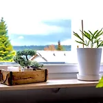 Apartmán Relaxapartments Black Forest Nature Mit Beheiztem Indoor-pool Und Sauna - Sonnenbalkon Mit Blick Ins Gruene, Schnelles Internet, Naehe Triberger Wasserfaelle, Fuer Bis Zu 2 Personen Schönwalde