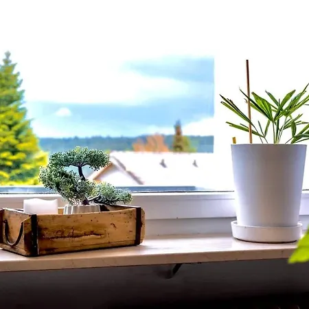 Apartament Relaxapartments Black Forest Nature Mit Beheiztem Indoor-pool Und Sauna - Sonnenbalkon Mit Blick Ins Gruene, Schnelles Internet, Naehe Triberger Wasserfaelle, Fuer Bis Zu 2 Personen Schönwalde